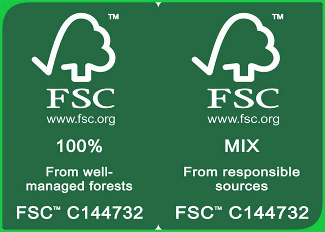  dobra branca da placa de marfim da cor C1S de 300GSM 610*860MM com certificação do FSC