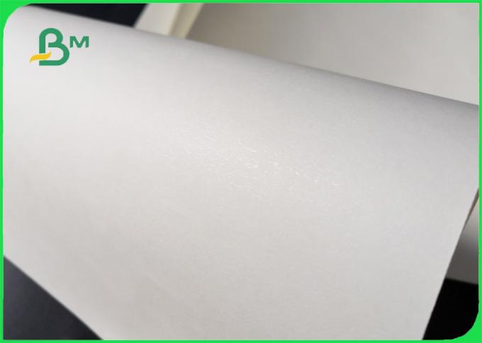 Biodegradável o PE 160GSM + 10GSM laminou o papel para o único copo de papel da parede