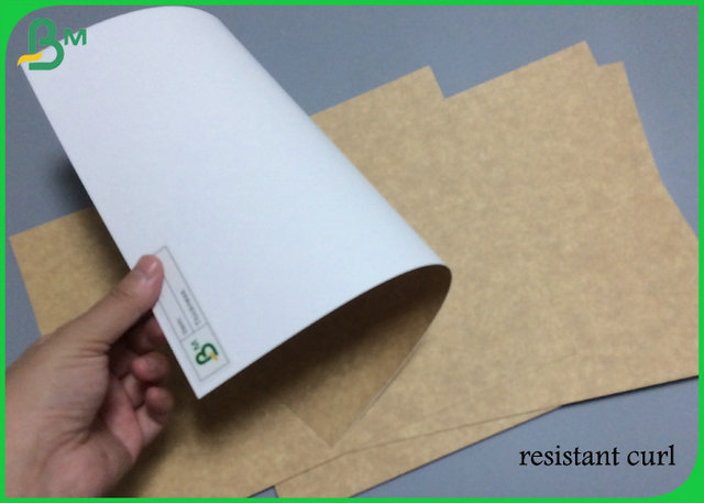 Papel de embalagem branco de congelação 325g da parte traseira da resistência alta 365g de 31inch 35inch