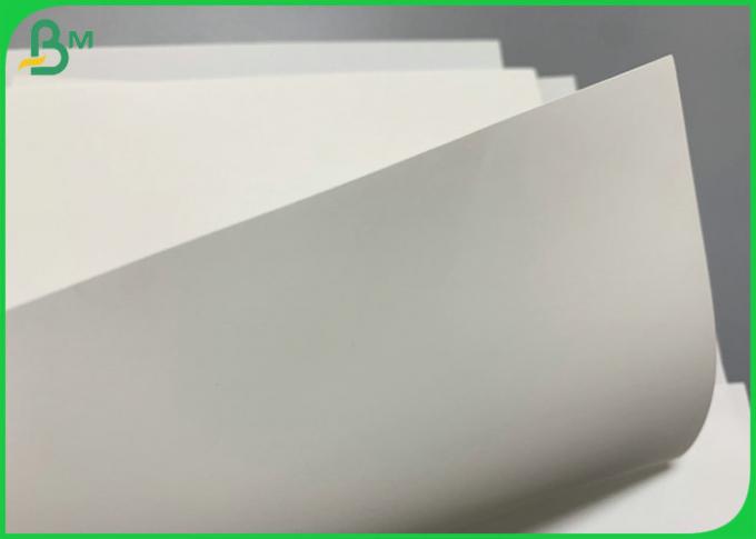 rasgo de papel da pedra imprimível de 168g 240g Woodfree rolo enorme resistente de 787mm x de 1000m