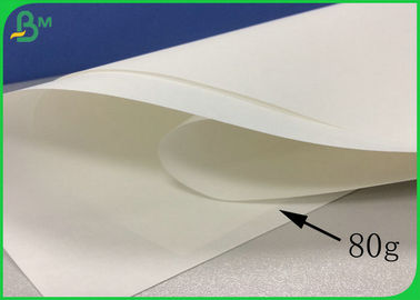 80GSM ao papel sem revestimento OBA de 120 G/M Woodfree livre para fazer sacos de papel