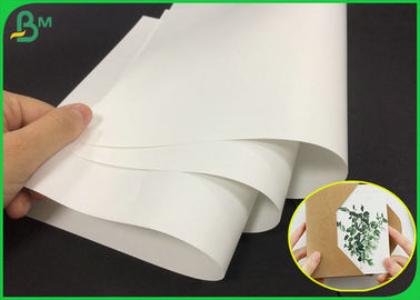 80g cor branca Matte Gloss Art Paper Roll para fazer o folheto de empresa