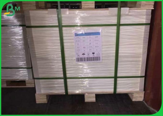 as crianças resistentes de Rich Mineral Stone Paper For do rasgo de 168g 300g 200um registram não - tóxico