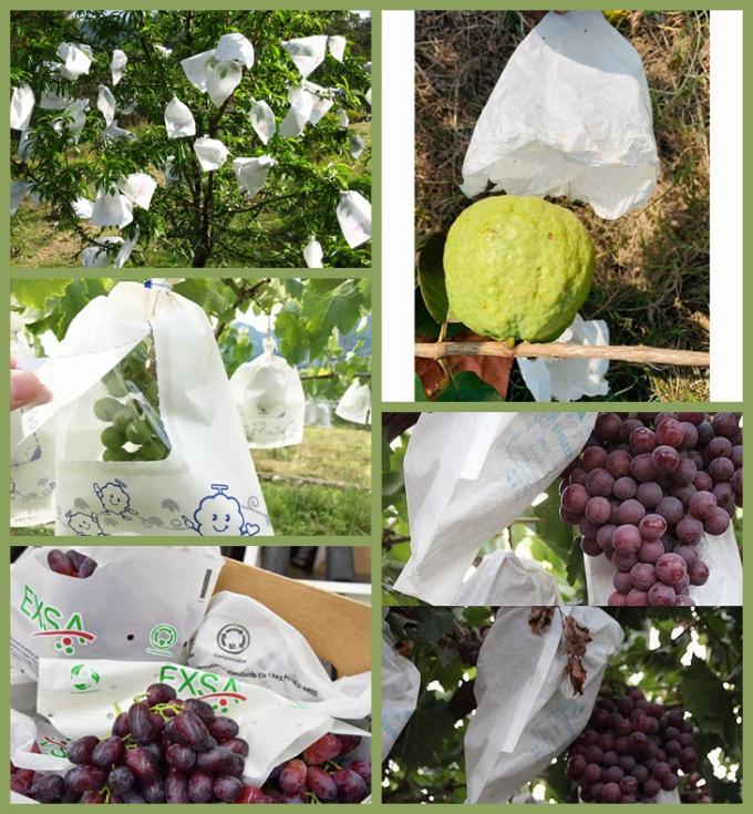 Papel do envoltório do fruto do bmpaper co de guangzhou., ltd