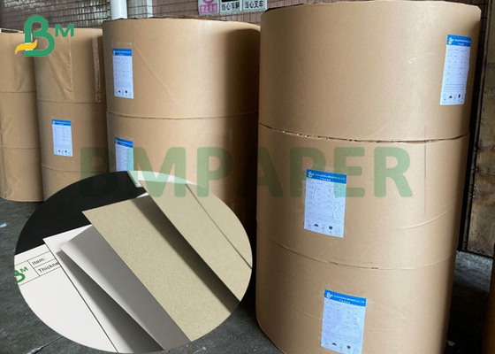 rolos enormes 350g 400g C1S Gray Back Duplex Paper Board para a caixa de empacotamento