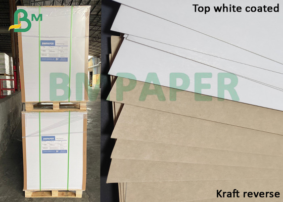 250gsm liso extra revestiu branco - placa de papel superior do forro de KLB Kraft