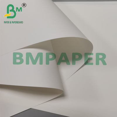 Papel de folheto sintético resistente ao calor de 250 mm e 260 mm