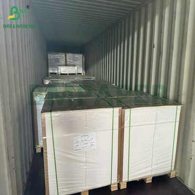 Grau alimentício 250g 737mm Cupstock impermeável 1 PE Papel para copos