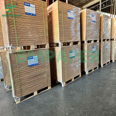 210 gm 215 gm Papel revestido de marfim de qualidade alimentar para embalagem de batatas fritas