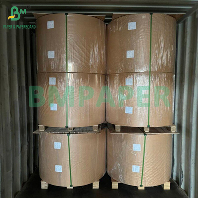 230 gm Papel de Taça de Resistência de Alto Dobramento Branco descartável