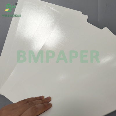 Papel para embalagem de alimentos congelados 275gsm 300gsm para embalagem de frutos do mar congelados