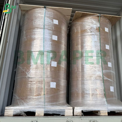 80gsm +15gsm Single PE Coated Paper For Nut Package Bags 70 x 100cm