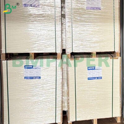 Folhas de cartão branco revestidas de um lado e resistentes a gordura de 350 gm