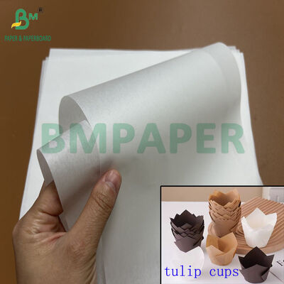 Papel à prova de gordura para segurança alimentar de 30gsm 40gsm para copo de cozimento tulipa em rolo de 1100mm 1200mm