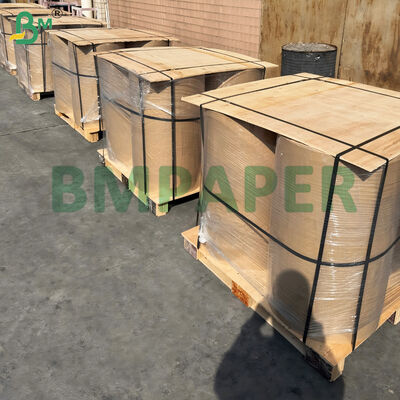 Papel térmico resistente ao frio à prova de congelamento para armazenamento a frio e ao ar livre