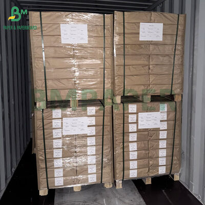 350 gm 400 gm Revestimento de 1 lado Placa branca termoformadora para embalagem de bolhas 70 x 100 cm