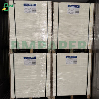 Cartão para Porta-Copos de Cerveja 460gsm 0.8mm | Papel Absorvente Folhas 1200mm × 840mm