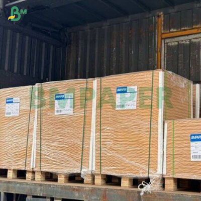 Cartão para alimentos CKB marrom de 360g com boa rigidez em folha