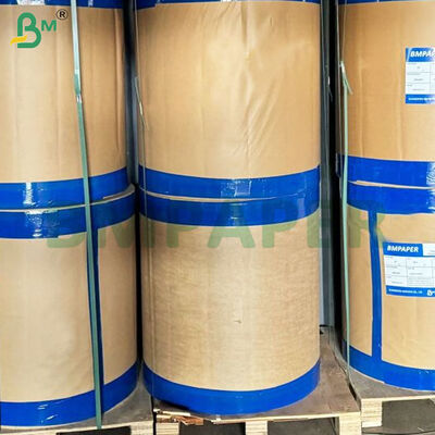 Rolos de Papel Kraft para Tigelas/Pratos com Revestimento de PE de 350gsm+10gsm de Grau Alimentício