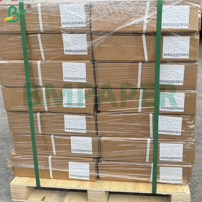 Rolos de Papel para Plotter CAD Formato A0 80gsm | 914mm x 50m, 5 Rolos por Caixa