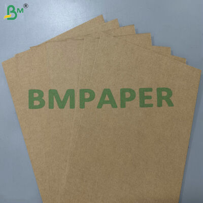 Papel Base de Bagaço de Cana 200gsm 300gsm Compostável à Prova de Gordura de Grau Alimentício 100% Matéria-Prima para Louças Descartáveis