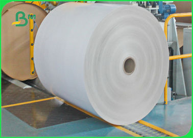 cartão branco poli do papel revestido do etileno 300gsm + 12g na folha 61 * 86cm FDA