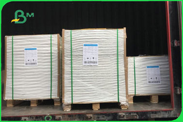 Papel sem revestimento UWF de 80 a 120 gramas OBA livre em rolos