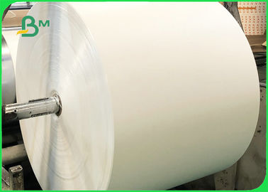 papel Rolls do estoque do copo de 190gsm 210gsm para o gelado 720mm inteiramente recicláveis 880mm