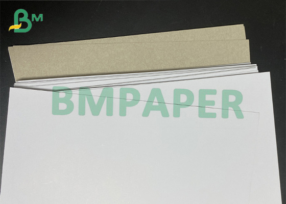 tamanho branco de papel frente e verso de 400gsm Front Grey Back Eco Friendly Customized