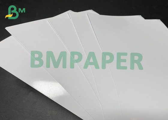 foto lustrosa branca alta Rolls de papel de 230gsm 432mm para a impressão do Inkjet