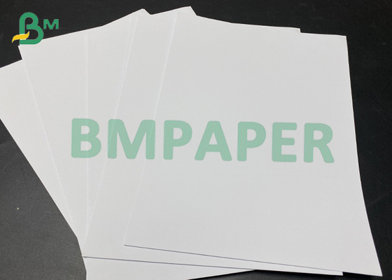 foto lustrosa branca alta Rolls de papel de 230gsm 432mm para a impressão do Inkjet