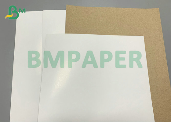 Cartão superior branco 300gsm 350gsm da parte traseira de Brown para a caixa congelada do alimento