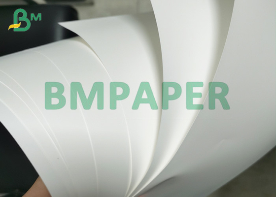 80um tempo superior - papel sintético do ANIMAL DE ESTIMAÇÃO resistente para cartazes no rolo