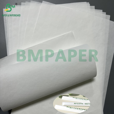 Bom desempenho de impressão 24 28 GSM Papel de embalagem de higiene branco Selo térmico