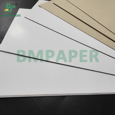450 gm 500 gm C1S Duplex Board Grey Back para pasta de dente Caixa 800 x 1000 mm