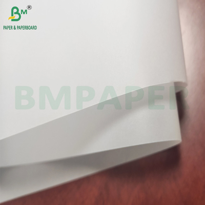 Rolo de papel de pergamino branco altamente transparente 50 g - 130 g