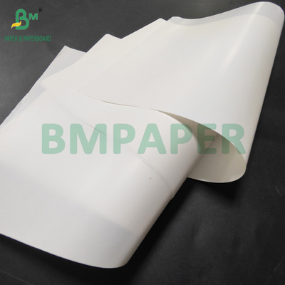 65 gm 70 gm Adesivo impermeável Papel resistente ao molho para rótulo de cerveja 700 x 1000 mm