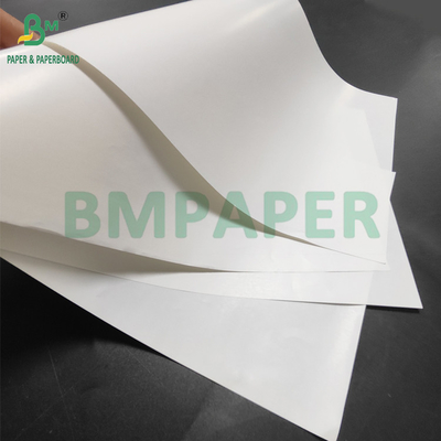 65 gm 70 gm Adesivo impermeável Papel resistente ao molho para rótulo de cerveja 700 x 1000 mm