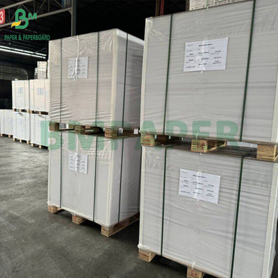 65 gm 70 gm Adesivo impermeável Papel resistente ao molho para rótulo de cerveja 700 x 1000 mm