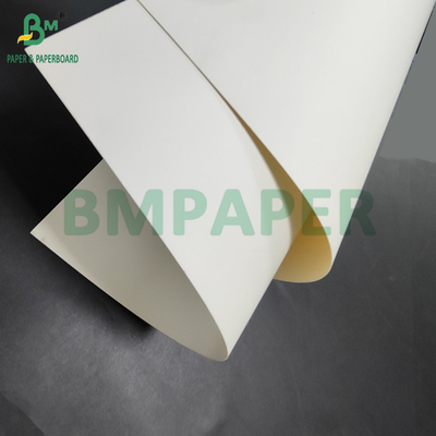 300 gm + 15 g de papel revestido em PE de qualidade alimentar para recipientes de almoço 700 x 1000 mm