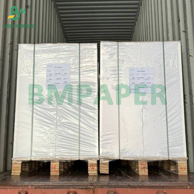 100 300 GSM Folha de papel de cana de açúcar castanho leve reciclável