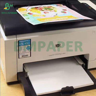 Impressão a laser de papel revestido brilhante de dois lados para folhetos de 32 x 45 cm