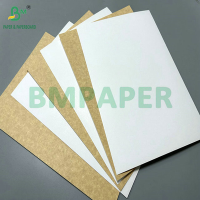 Boa resistência de 150 gramas a 400 gramas de papel Kraft castanho natural, rolos ou folhas para taças de alimentos