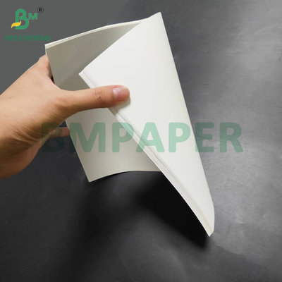 Papel sintético PET resistente ao calor de 150um para traseira - Menus iluminados