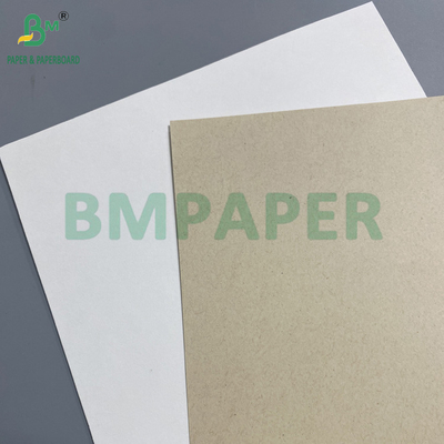 Papel biodegradável de cana-de-açúcar de qualidade alimentar para pratos descartáveis de 70 g a 400 g