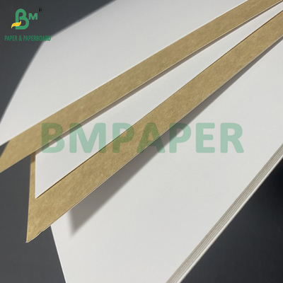 270gm 300gm Grade Alimentar revestido de Branco Top KLB Kraft Back Carrier Board 31" 43"