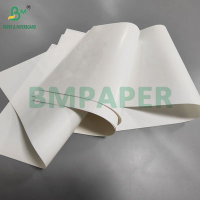 Papel de impressão de etiquetas de cerveja de resistência à água, revestido de um lado e molhado, de 80 g 69 x 99 cm
