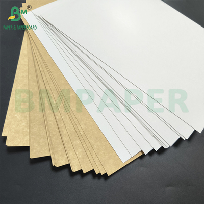 Completamente revestido com pigmento Multilayer kraft backboard 275gm Top Branco