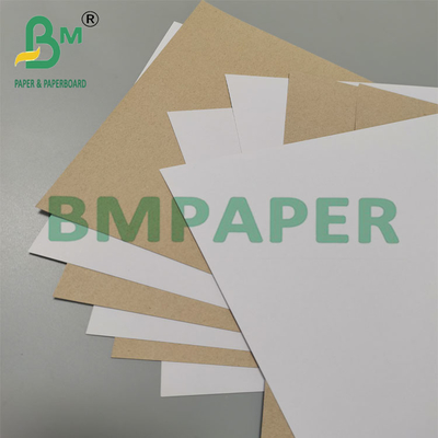 350 g 79 x 109 cm Cartão duplex revestido com parte traseira cinza para embalagens farmacêuticas
