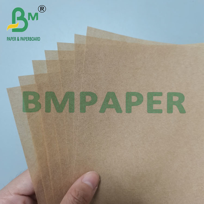 34 g 635 mm Largura Papel de revestimento não branqueado de qualidade alimentar com silicones à prova de gordura